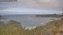 ./images/calvert/foggy-cove/20260507/foggy-cove20260507_103501M.jpg