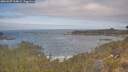 ./images/calvert/foggy-cove/20260507/foggy-cove20260507_104001M.jpg