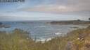 ./images/calvert/foggy-cove/20260507/foggy-cove20260507_104501M.jpg
