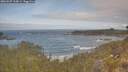 ./images/calvert/foggy-cove/20260507/foggy-cove20260507_105001M.jpg