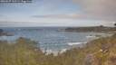 ./images/calvert/foggy-cove/20260507/foggy-cove20260507_105501M.jpg