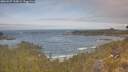 ./images/calvert/foggy-cove/20260507/foggy-cove20260507_110001M.jpg
