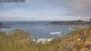 ./images/calvert/foggy-cove/20260507/foggy-cove20260507_110501M.jpg