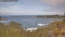 ./images/calvert/foggy-cove/20260507/foggy-cove20260507_111001M.jpg