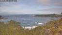 ./images/calvert/foggy-cove/20260507/foggy-cove20260507_111501M.jpg