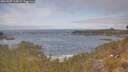 ./images/calvert/foggy-cove/20260507/foggy-cove20260507_112002M.jpg