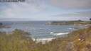 ./images/calvert/foggy-cove/20260507/foggy-cove20260507_112501M.jpg