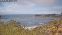 ./images/calvert/foggy-cove/20260507/foggy-cove20260507_113001M.jpg