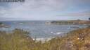 ./images/calvert/foggy-cove/20260507/foggy-cove20260507_113502M.jpg
