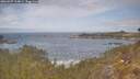 ./images/calvert/foggy-cove/20260507/foggy-cove20260507_114001M.jpg