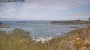 ./images/calvert/foggy-cove/20260507/foggy-cove20260507_114501M.jpg