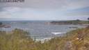 ./images/calvert/foggy-cove/20260507/foggy-cove20260507_115001M.jpg