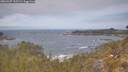 ./images/calvert/foggy-cove/20260507/foggy-cove20260507_115502M.jpg