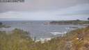 ./images/calvert/foggy-cove/20260507/foggy-cove20260507_120001M.jpg