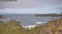 ./images/calvert/foggy-cove/20260507/foggy-cove20260507_120501M.jpg