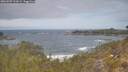 ./images/calvert/foggy-cove/20260507/foggy-cove20260507_121002M.jpg