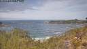 ./images/calvert/foggy-cove/20260507/foggy-cove20260507_122001M.jpg