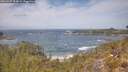 ./images/calvert/foggy-cove/20260507/foggy-cove20260507_123001M.jpg