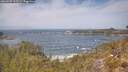 ./images/calvert/foggy-cove/20260507/foggy-cove20260507_123501M.jpg