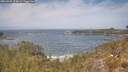 ./images/calvert/foggy-cove/20260507/foggy-cove20260507_124001M.jpg