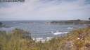 ./images/calvert/foggy-cove/20260507/foggy-cove20260507_125001M.jpg