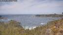 ./images/calvert/foggy-cove/20260507/foggy-cove20260507_125501M.jpg