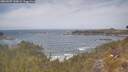./images/calvert/foggy-cove/20260507/foggy-cove20260507_130002M.jpg