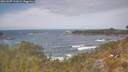 ./images/calvert/foggy-cove/20260507/foggy-cove20260507_131001M.jpg