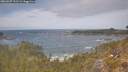 ./images/calvert/foggy-cove/20260507/foggy-cove20260507_131501M.jpg