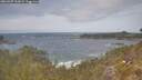 ./images/calvert/foggy-cove/20260507/foggy-cove20260507_132001M.jpg