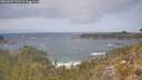 ./images/calvert/foggy-cove/20260507/foggy-cove20260507_132501M.jpg