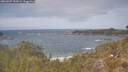 ./images/calvert/foggy-cove/20260507/foggy-cove20260507_133001M.jpg