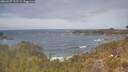 ./images/calvert/foggy-cove/20260507/foggy-cove20260507_133501M.jpg