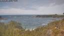 ./images/calvert/foggy-cove/20260507/foggy-cove20260507_134001M.jpg