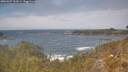 ./images/calvert/foggy-cove/20260507/foggy-cove20260507_134501M.jpg