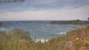 ./images/calvert/foggy-cove/20260507/foggy-cove20260507_135002M.jpg