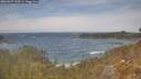 ./images/calvert/foggy-cove/20260507/foggy-cove20260507_135501M.jpg