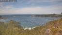 ./images/calvert/foggy-cove/20260507/foggy-cove20260507_140001M.jpg