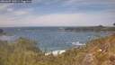 ./images/calvert/foggy-cove/20260507/foggy-cove20260507_140501M.jpg