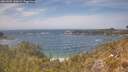 ./images/calvert/foggy-cove/20260507/foggy-cove20260507_141002M.jpg