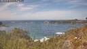 ./images/calvert/foggy-cove/20260507/foggy-cove20260507_141501M.jpg