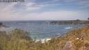 ./images/calvert/foggy-cove/20260507/foggy-cove20260507_142002M.jpg
