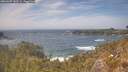 ./images/calvert/foggy-cove/20260507/foggy-cove20260507_142501M.jpg