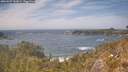 ./images/calvert/foggy-cove/20260507/foggy-cove20260507_143001M.jpg