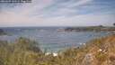 ./images/calvert/foggy-cove/20260507/foggy-cove20260507_143501M.jpg