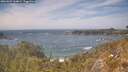 ./images/calvert/foggy-cove/20260507/foggy-cove20260507_144002M.jpg