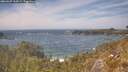 ./images/calvert/foggy-cove/20260507/foggy-cove20260507_144501M.jpg
