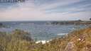 ./images/calvert/foggy-cove/20260507/foggy-cove20260507_145001M.jpg