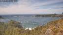 ./images/calvert/foggy-cove/20260507/foggy-cove20260507_145501M.jpg