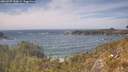 ./images/calvert/foggy-cove/20260507/foggy-cove20260507_150001M.jpg